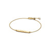 pandora-moments-564010c01-gold-plated-plaatarmband-personaliseerbaar-lengte-16-20-cm