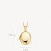 blush-6081ygo-14-karaat-gouden-medaillon-ovaal-en-koordmotief-11-5-mm-breed-hoogte-17-mm