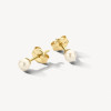 blush-7137ypw-14-karaat-gouden-oorknopjes-met-ronde-witte-parel-diameter-3-3-mm