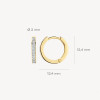 blush-7163bzi-14-karaat-gouden-klapoorringen-met-zirkonia-rij-2-mm-breed-diameter-12-5-mm