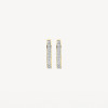 blush-7163bzi-14-karaat-gouden-klapoorringen-met-zirkonia-rij-2-mm-breed-diameter-12-5-mm