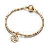 pandora-moments-762724c01-hangende-sterrenbeeld-bedel-vissen-en-transparante-zirkonia