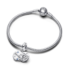 pandora-moments-792987c01-zilveren-bedel-met-sterren-en-tekst-family