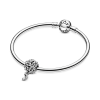 pandora-moments-798779c00-armband-zilveren-bedel-met-muzieknoten