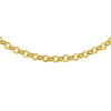 gouden-jasseron-ketting-5-5-mm-45-cm