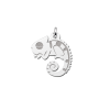 kameleon-hanger-van-zilver