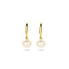 mooie-oorhangers-met-edelsteen-parel