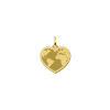 14-karaat-gouden-hart-hanger-met-wereldkaart