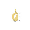 gouden-maan-hanger-met-een-zittende-kat