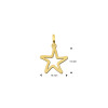 gouden-open-ster-hanger