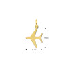 gouden-vliegtuig-hanger