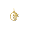 gouden-maan-hanger-met-engel