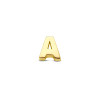 14-karaat-geelgouden-letter-hanger