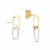 jackie-gold-jke24482-bicolor-oorhangers-met-paperclip-schakels-17-mm-x-5-mm