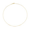 jackie-gold-jkn21-101-14-karaat-gouden-ketting-met-staafjes-lengte-40-42-5-45-cm