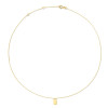 jackie-gold-jkn23-354-14-karaat-gouden-ketting-met-graveerbare-hanger-lengte-40-42-5-45-cm