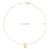 jackie-gold-jkn24-411-14-karaat-gouden-ketting-met-ronde-hanger-met-bolletjes-rand-lengte-40-42-5-45-cm