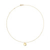 jackie-gold-jkn24-467-14-karaat-gouden-schakelketting-met-ronde-hanger-lengte-40-42-5-45-cm