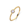 jackie-gold-jkr22-216-14-karaat-gouden-ring-gedraaid-met-amethist-5-mm