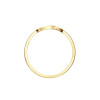 jackie-gold-jkr24-408-14-karaat-gouden-ring-met-2-verbonden-cirkels
