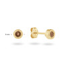 jackie-gold-kirstenbosch-jke26-613-14-karaat-gouden-oorknopjes-met-bruine-rookkwarts-diameter-4-mm
