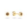 jackie-gold-kirstenbosch-jke26-613-14-karaat-gouden-oorknopjes-met-bruine-rookkwarts-diameter-4-mm