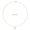 jackie-gold-kirstenbosch-jkn26-613-14-karaat-gouden-ketting-met-rookkwarts-lengte-38-40-42-cm