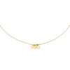jackie-gold-swing-discs-jkn20046-ketting-van-14-karaat-goud-met-swingende-schijfjes-lengte-40-42-5-45-cm
