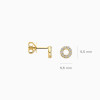blush-lab-diamonds-lg7016y-14k-gouden-oorstekers-open-rondje-met-lab-diamanten-0-18-crt-diameter-5-5-mm
