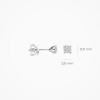 blush-lab-diamonds-lg7020w-14-karaat-witgouden-oorknopjes-met-ronde-lab-diamant-0-30-crt-diameter-3-5-mm