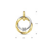 14-karaat-bicolor-gouden-hanger-met-diamant-0-03-crt-11-mm-x-15-mm