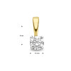 14-karaat-bicolor-hanger-met-diamant-0-15-crt-8-x-3-5-mm