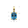 14-karaat-edelsteen-hanger-met-london-blue-topaas-5-5-mm-x-12-mm