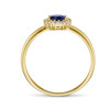 14-karaat-entourage-ring-met-blauwe-zirkonia