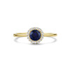 14-karaat-entourage-ring-met-blauwe-zirkonia