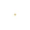 14-karaat-glanzende-gouden-oor-piercing-flatback-rond-2-mm-per-stuk