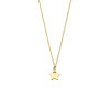 14-karaat-gouden-ankerketting-met-stervormige-zirkonia-hanger-lengte-40-42-44-cm