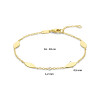 14-karaat-gouden-armband-met-ovale-elementen-1-2-mm-breed-lengte-16-18-cm