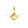 14-karaat-gouden-blad-hanger-12-5-mm-x-18-mm