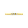 14-karaat-gouden-diamanten-ring-0-08-crt-2-5-mm-breed