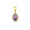 14-karaat-gouden-geboortesteen-hanger-met-paarse-zirkonia-februari