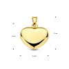 14-karaat-gouden-glanzende-hartjes-hanger-13-5-mm-x-12-mm