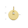 14-karaat-gouden-graveerhanger-cirkel-met-diamant-10-14-mm