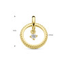 14-karaat-gouden-hanger-bewerkte-cirkel-met-diamant-0-06-crt-13-5-mm-x-17-mm