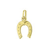 14-karaat-gouden-hanger-hoefijzer-14-x-9-5-mm