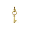 14-karaat-gouden-hanger-klassieke-sleutel-8-mm-breed-hoogte-20-5-mm