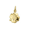 14-karaat-gouden-hanger-klavertje-vier-10-mm-breed-hoogte-13-mm