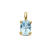 14-karaat-gouden-hanger-met-blauw-topaas-ovaal-12-x-5-mm