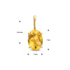 14-karaat-gouden-hanger-met-citrien-0-80-crt