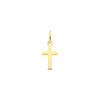 14-karaat-gouden-hanger-met-glanzend-kruisje-5-5-mm-breed-hoogte-14-mm